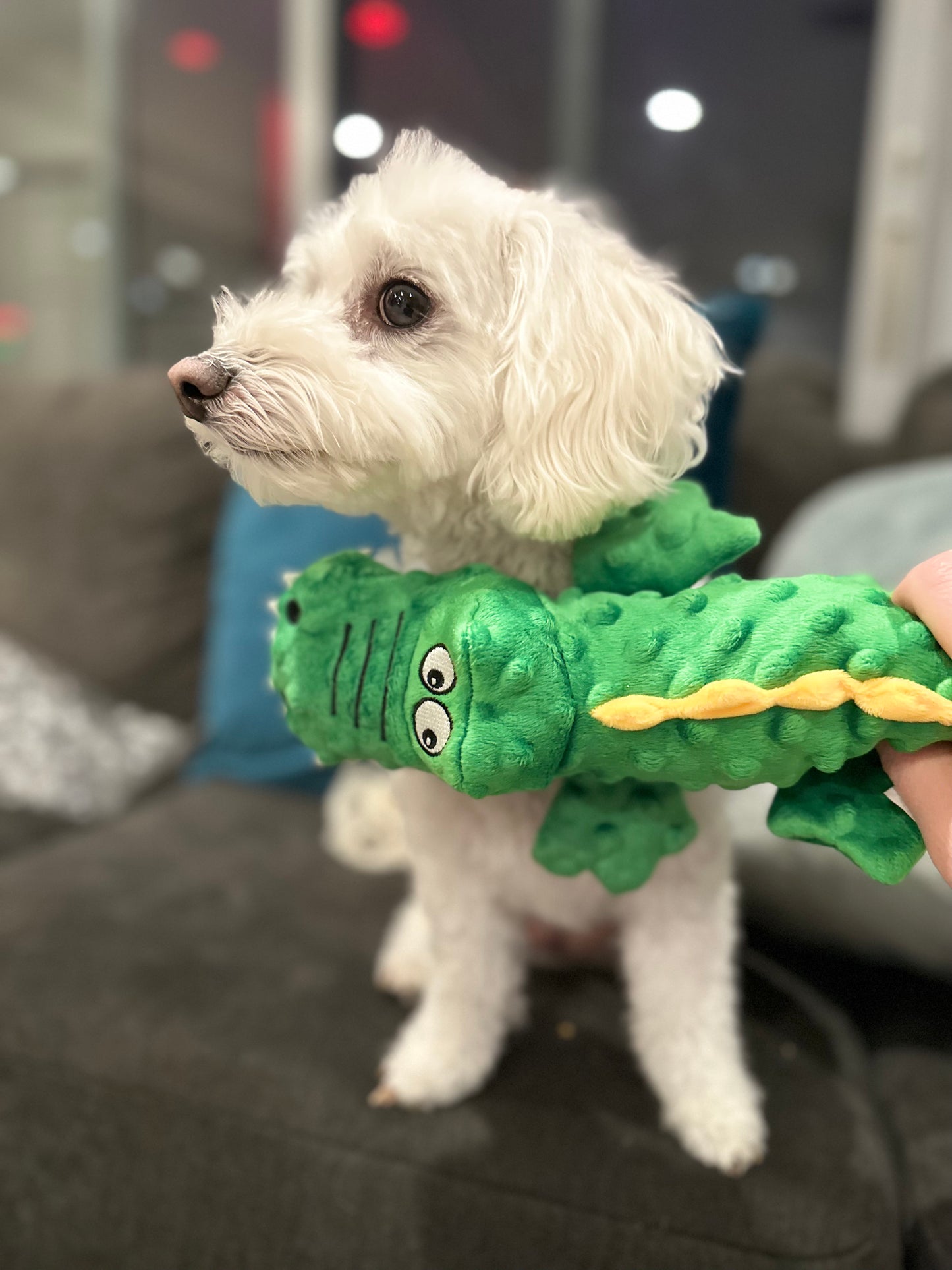 Snappy the Crocodile Dog Toy